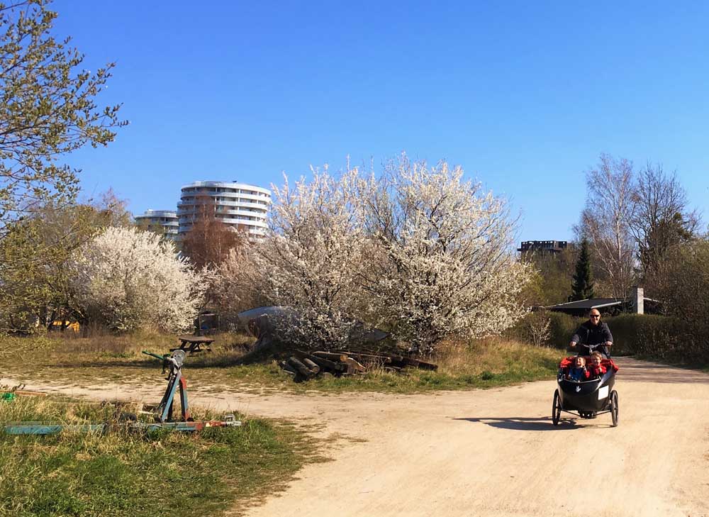family bike ride copenhagen denmark
